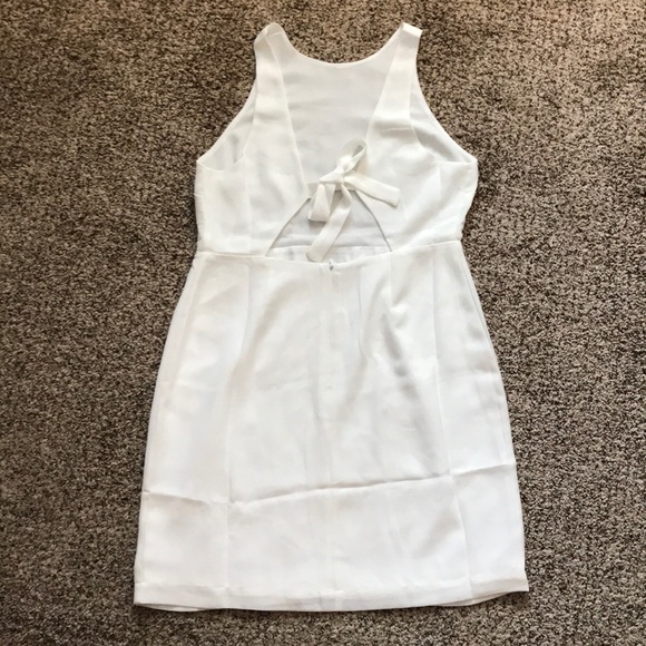 Naked Zebra Back Tie Dress - Picture 2 of 9